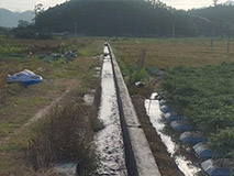 深井镇高标